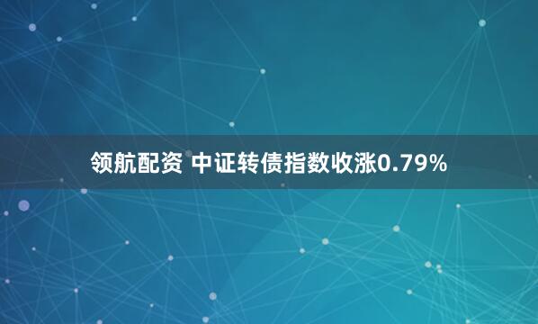 领航配资 中证转债指数收涨0.79%