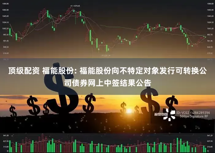 顶级配资 福能股份: 福能股份向不特定对象发行可转换公司债券网上中签结果公告